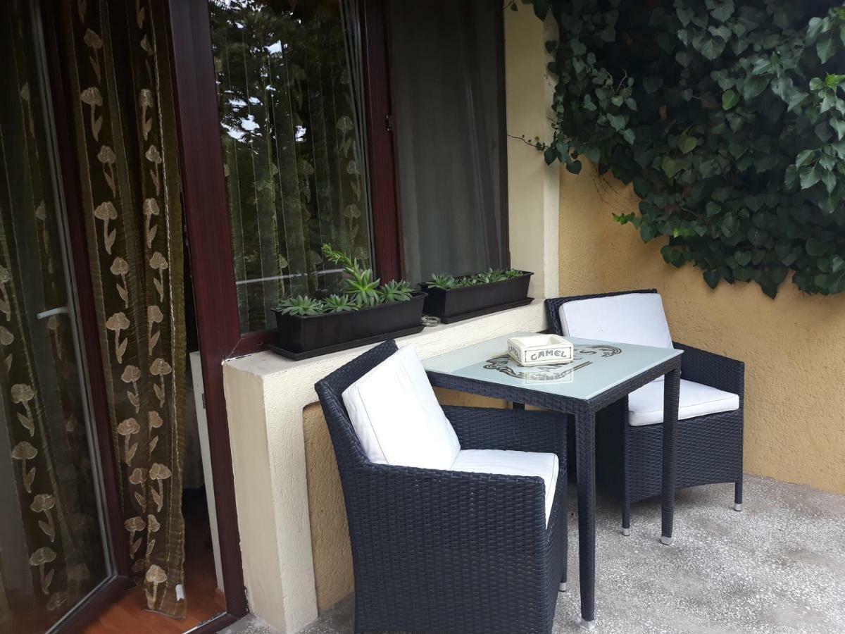 Pensiunea Sydney Timisoara Esterno foto